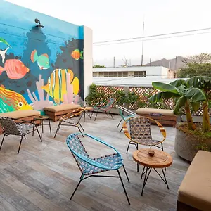 Distrito Hostel 호스텔